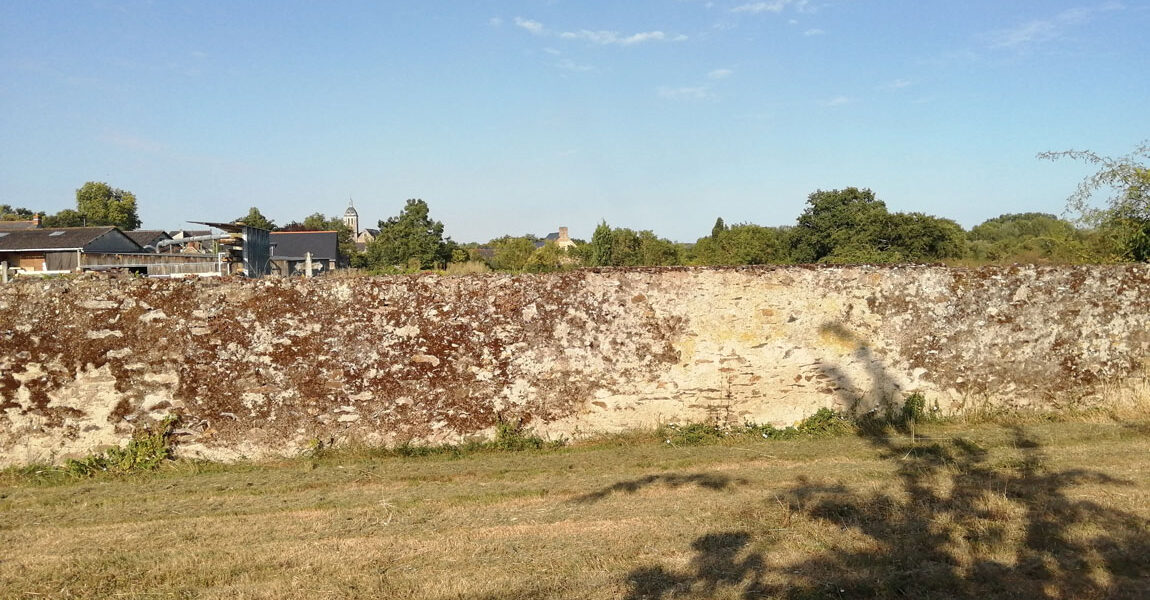 Commercialisation Terrain Denée Amenatys