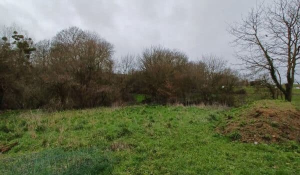 Landemont Terrains Amenatys