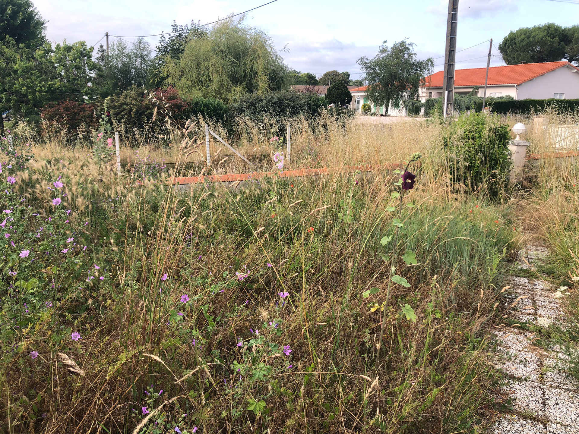 Lotissement Marennes Hiers Brouages Amentatys