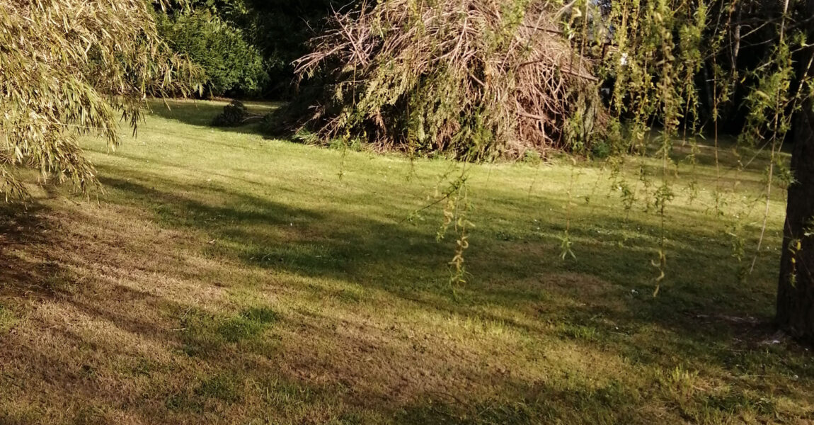 Terrain Amenatys La Chevallerais