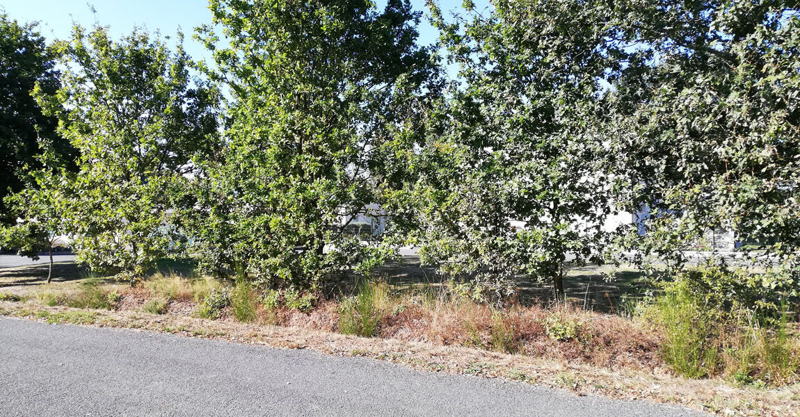 Terrain Arboré Amenatys Guesny