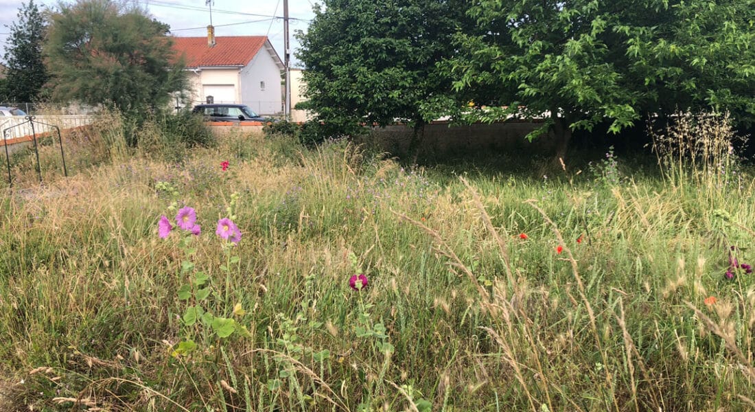 Terrain Commercialisation Amenatys Marennes