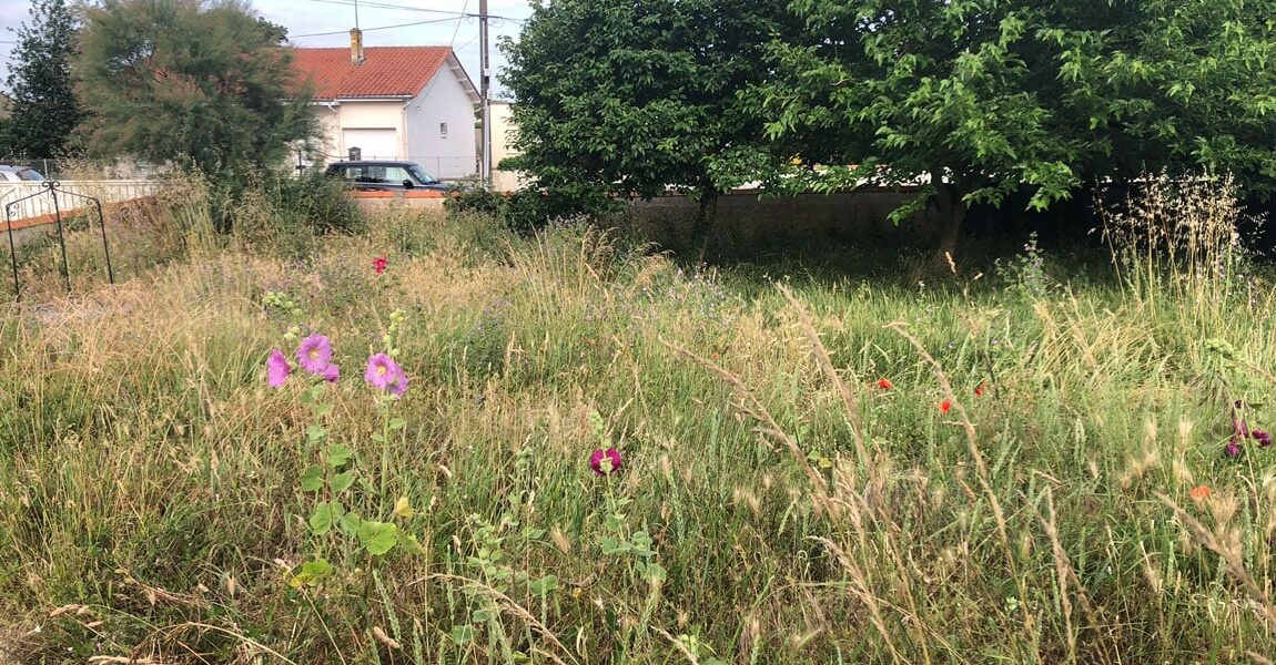 Terrain Commercialisation Amenatys Marennes