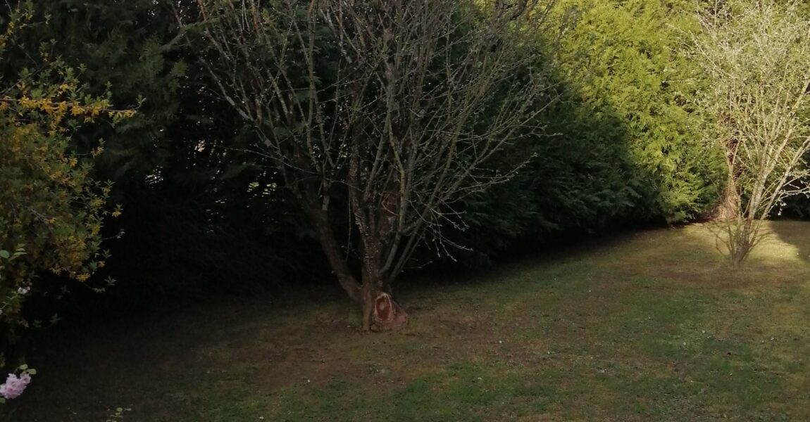 Terrains Aménagement La Chevaillerais Amenatys