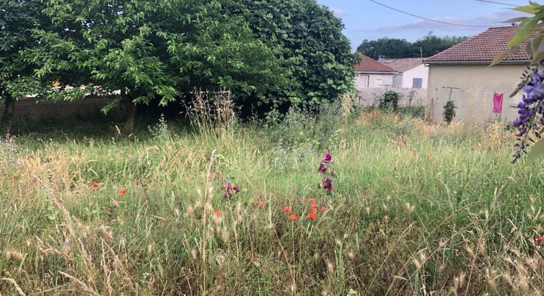 Vente Parcelles Amenatys Charente Maritime