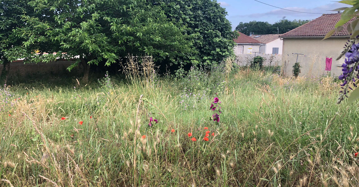 Vente Parcelles Amenatys Charente Maritime