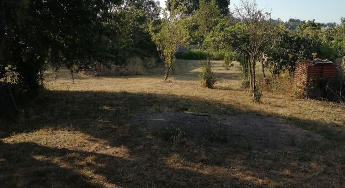 Vente Terrain Amenatys Denée