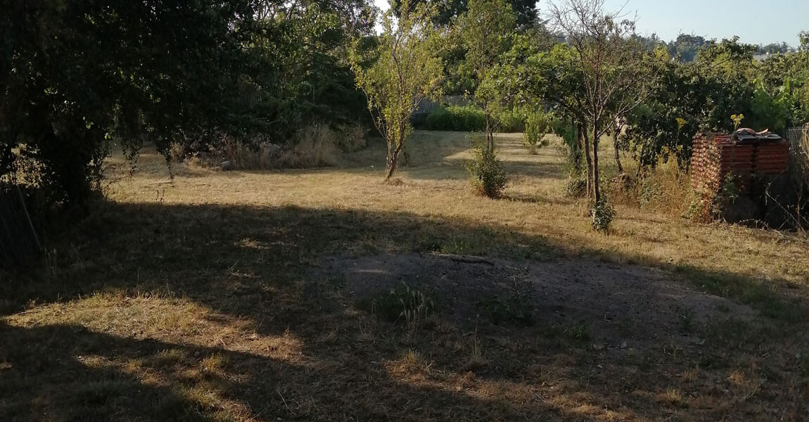 Vente Terrain Amenatys Denée