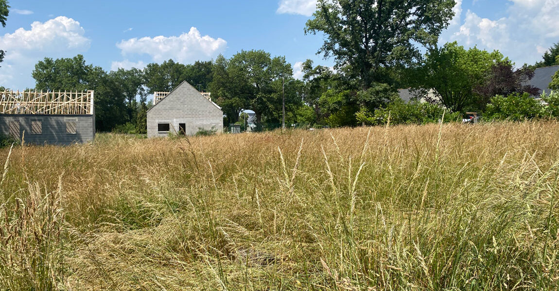 Vente Terrain Amenatys Le Bé