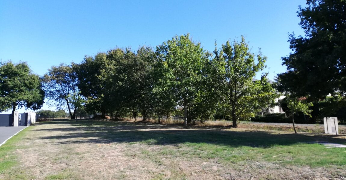 Lotissement GUESNY BLAIN 44130