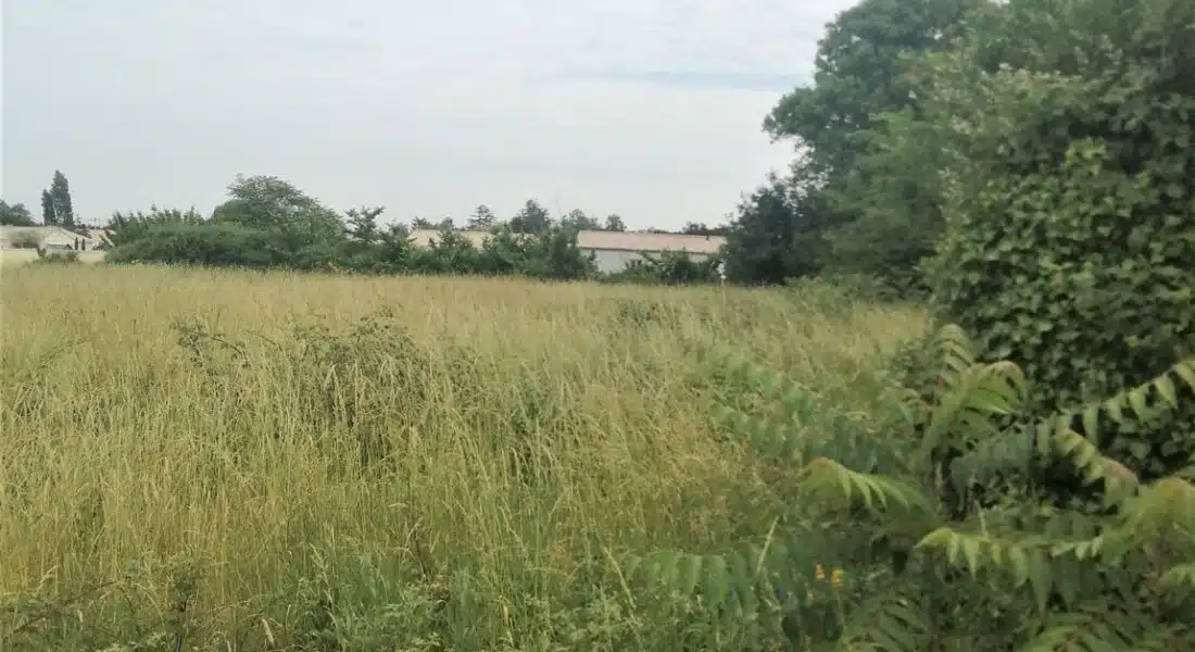 Commercialisation Terrain Amenatys Arvert