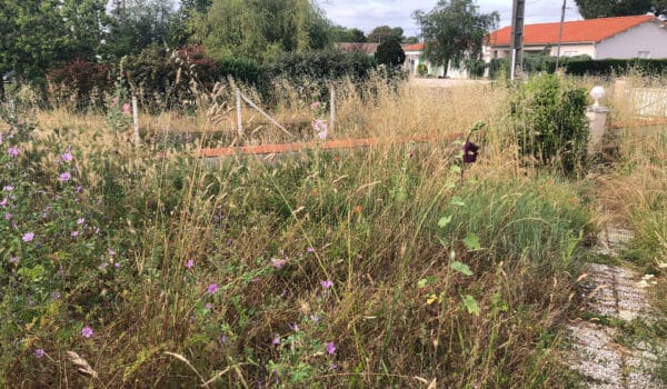Lotissement Marennes Hiers Brouages Amentatys