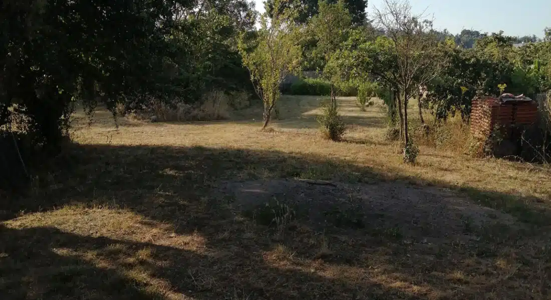 Vente Terrain Amenatys Denée